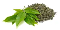 Green Tea Extract
